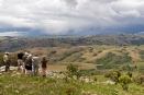Surveying the rolling grasslands of Nyika Plateau, Malawi