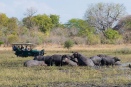 Watching a hippo pod in Malawi