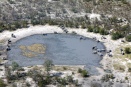 Okavango, the view from above: an elephant herd between Selinda and Linyanti